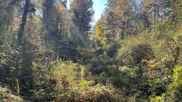 $671,160 | Tdb Delaware Avenue, McComb, MS 39648