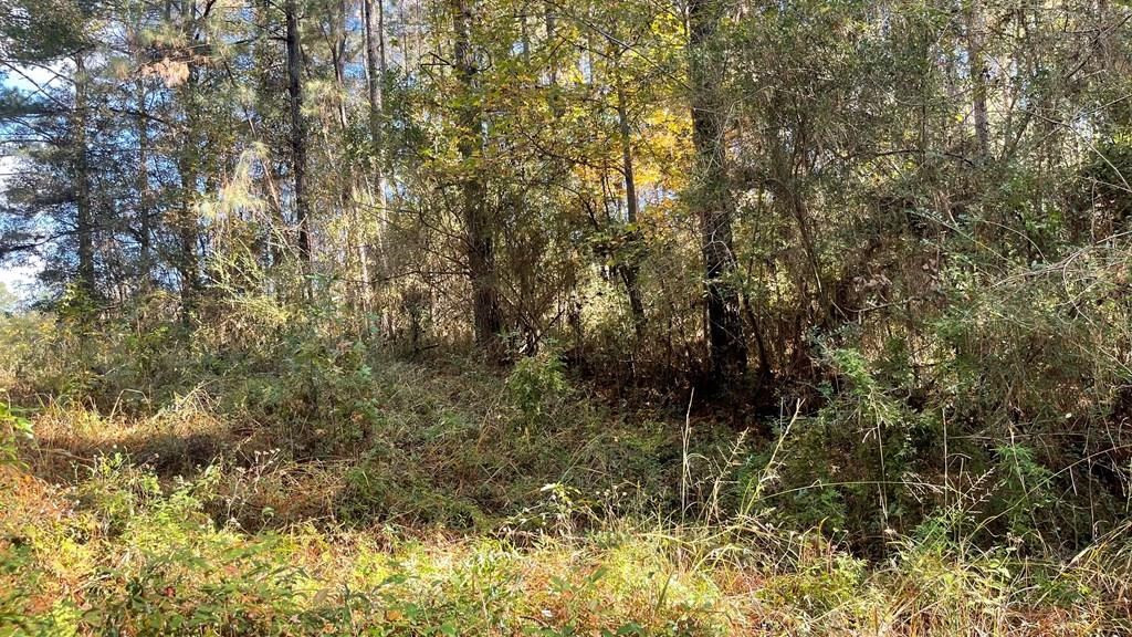 Tdb Delaware Avenue McComb, MS 39648 - Photo 32 of 36 Photo 32