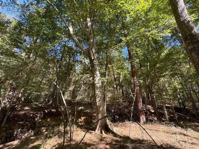 $671,160 | Tdb Delaware Avenue, McComb, MS 39648