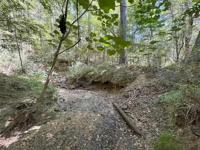 $671,160 | Tdb Delaware Avenue, McComb, MS 39648