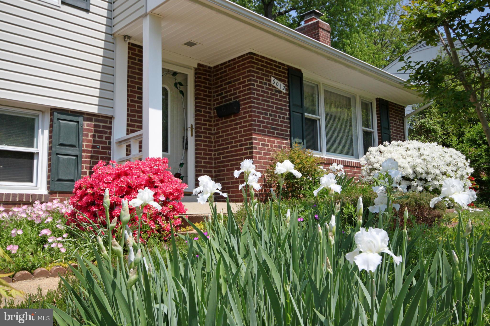6012 Loretto Street Springfield, VA 22150 - Photo 2 of 29 Exterior (Front)