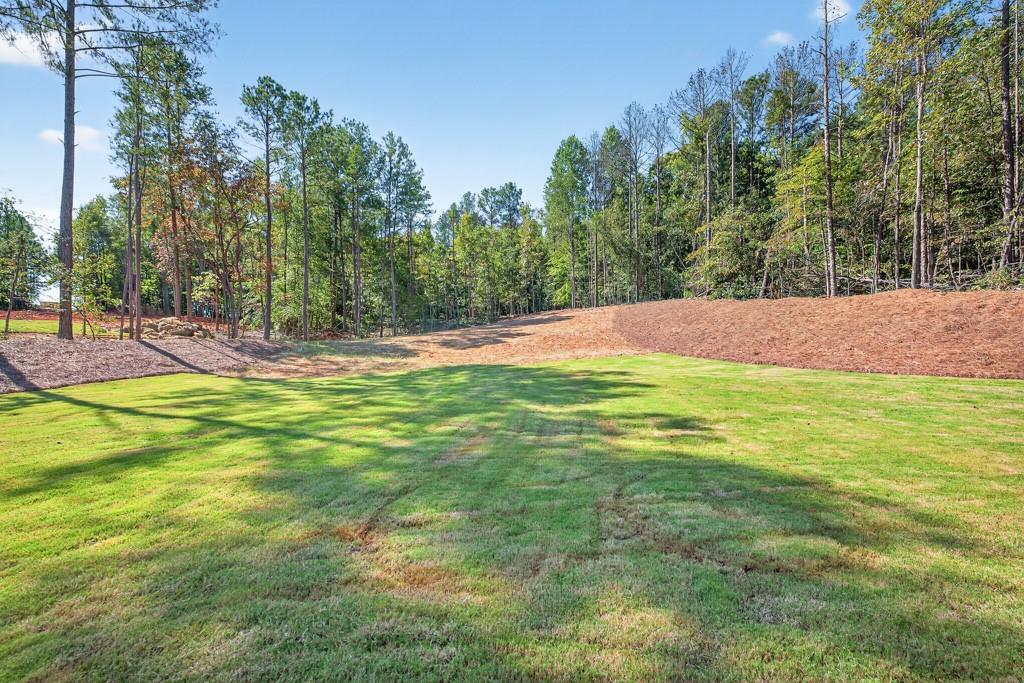 165 Chariot Court Jefferson, GA 30549 - Photo 64 of 67