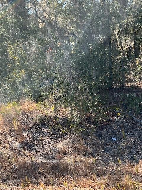 Tbd Locust Pass Loop Ocala, FL 34472 - Photo 1 of 2