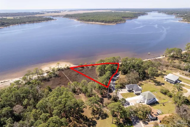 a view of a park with large trees
