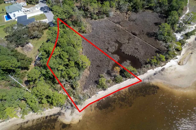 a view of a park with large trees and plants