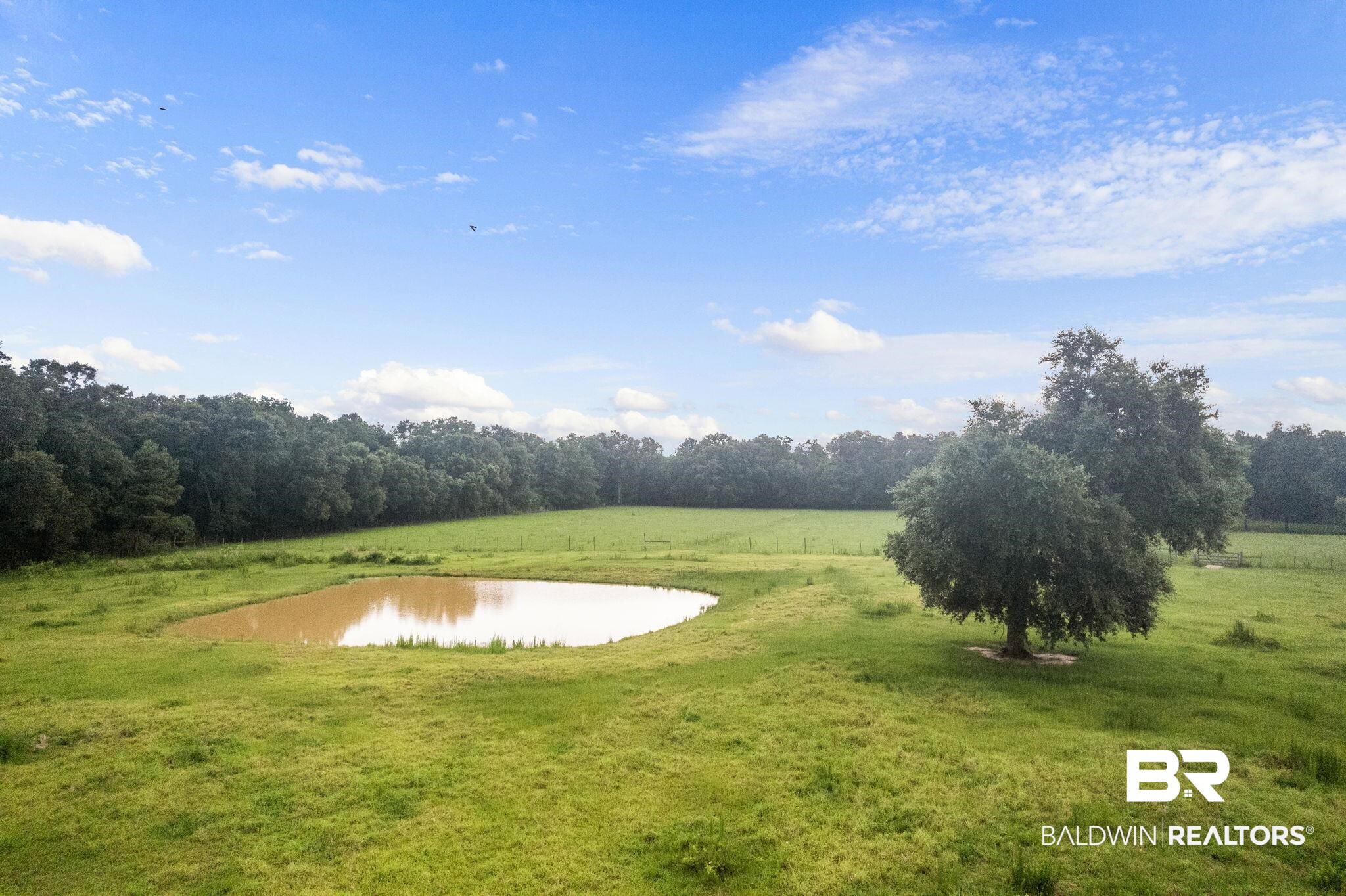 36721 St Highway Stapleton, AL 36578 - Photo 10 of 10