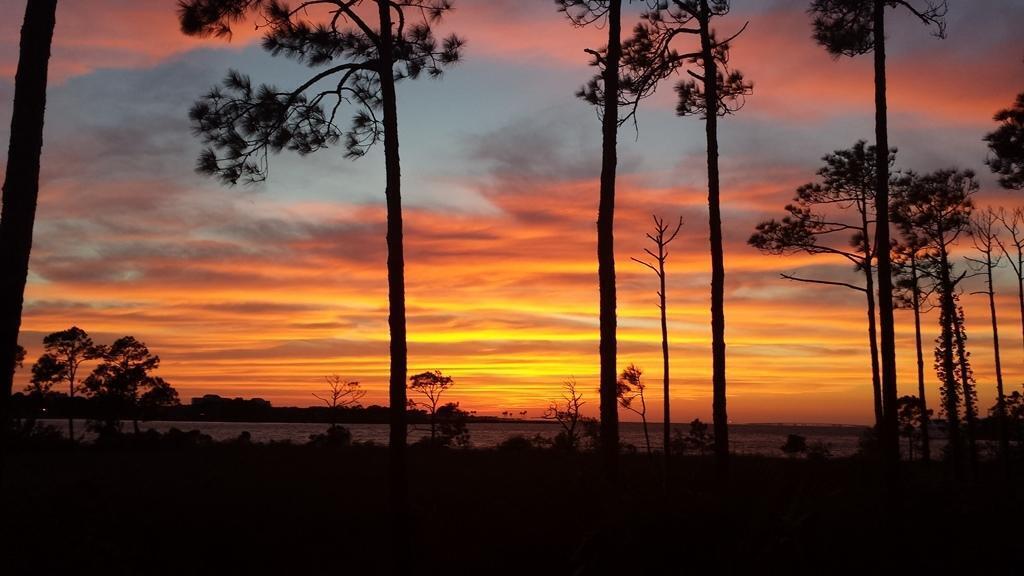 8708 Anchorage Drive Miramar Beach, FL 32550 - Photo 34 of 43 a view of ocean