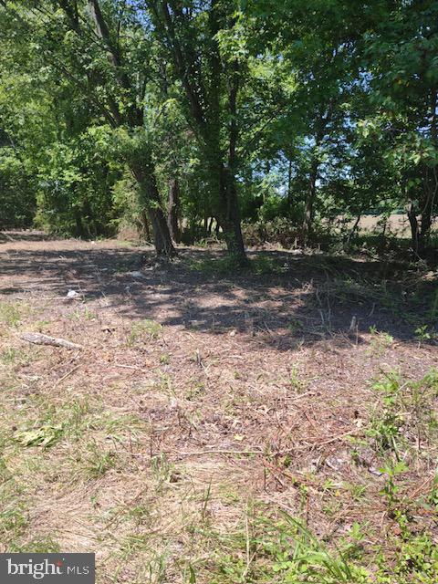 6858 Hopkins Neck Road Easton, MD 21601 - Photo 2 of 2 Gallery Image 2