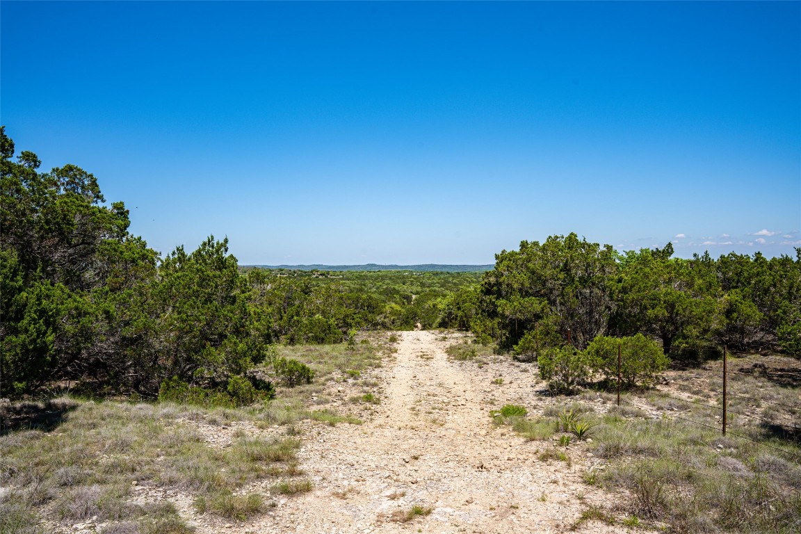 13005 Fitzhugh Road Austin, TX 78737 - Photo 1 of 1 a view of a yard with a tree