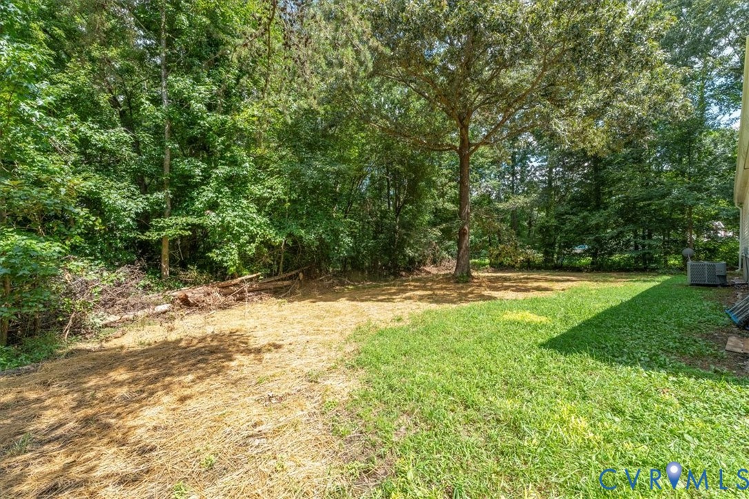 24200 Genito Road Amelia Court House, VA 23002 - Photo 8 of 34 Gallery Image 8