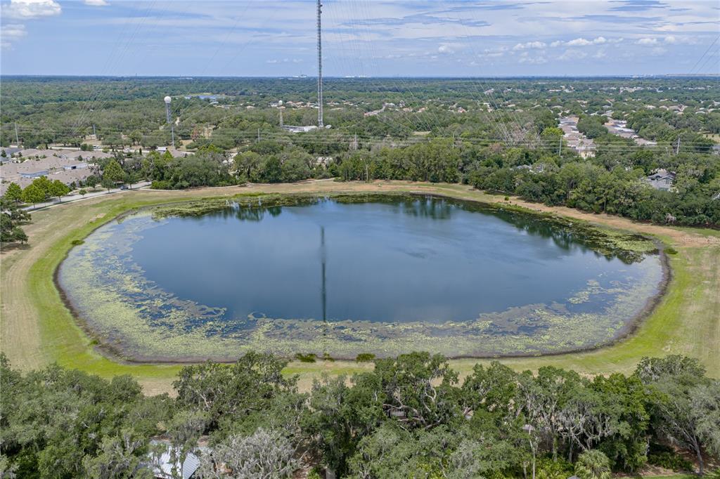 5904 Shell Ridge Drive Lithia, FL 33547 - Photo 99 of 99
