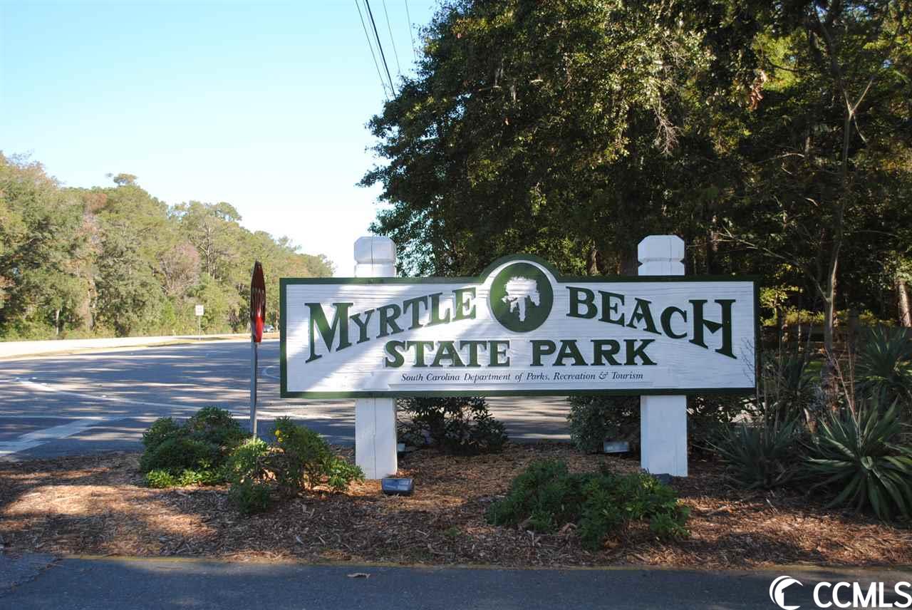 229 Augusta Green Way Myrtle Beach, SC 29579 - Photo 38 of 39