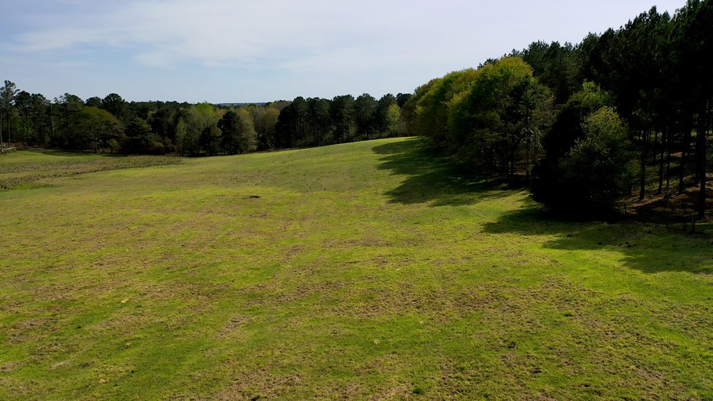 369 Bud Gary Road Clayton, AL 36016 - Photo 28 of 42