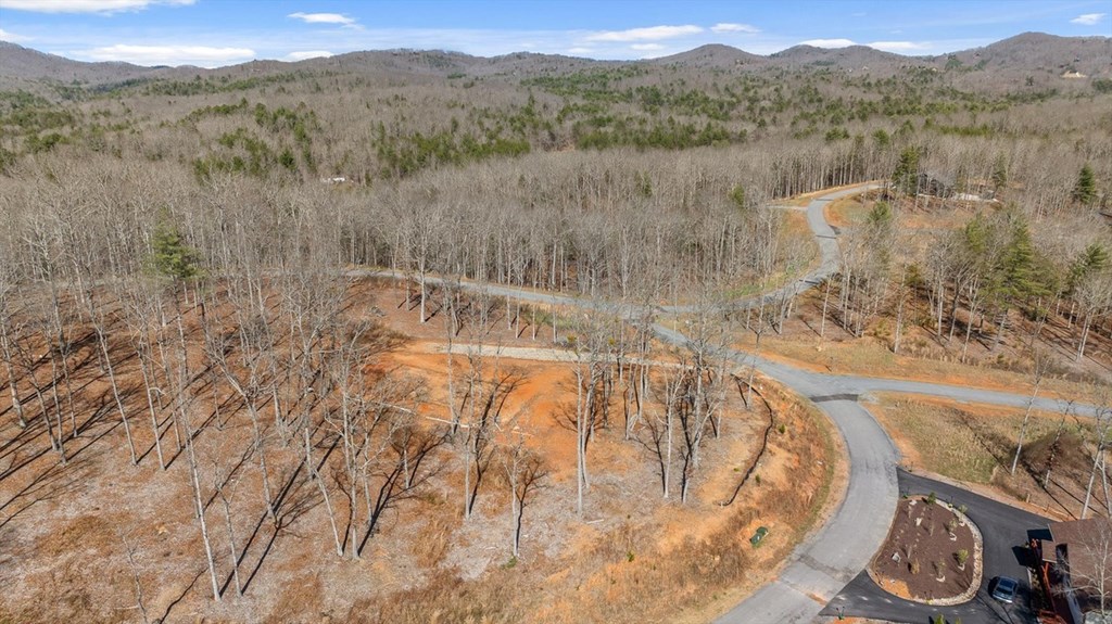 Lot 85 Split Creek Road Morganton, GA 30560 - Photo 11 of 32