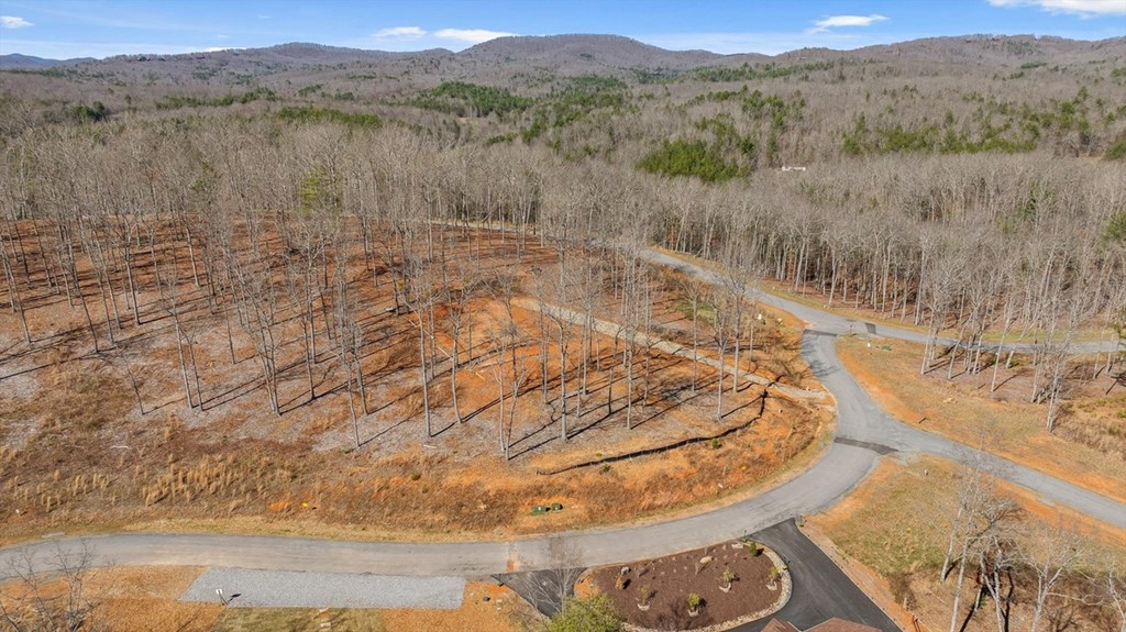 Lot 85 Split Creek Road Morganton, GA 30560 - Photo 12 of 32