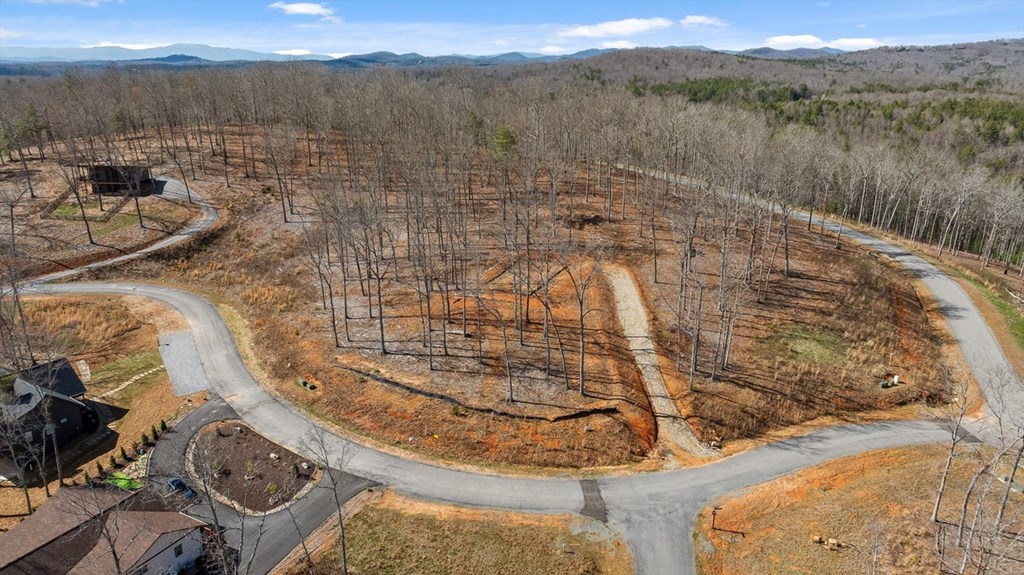 Lot 85 Split Creek Road Morganton, GA 30560 - Photo 14 of 32