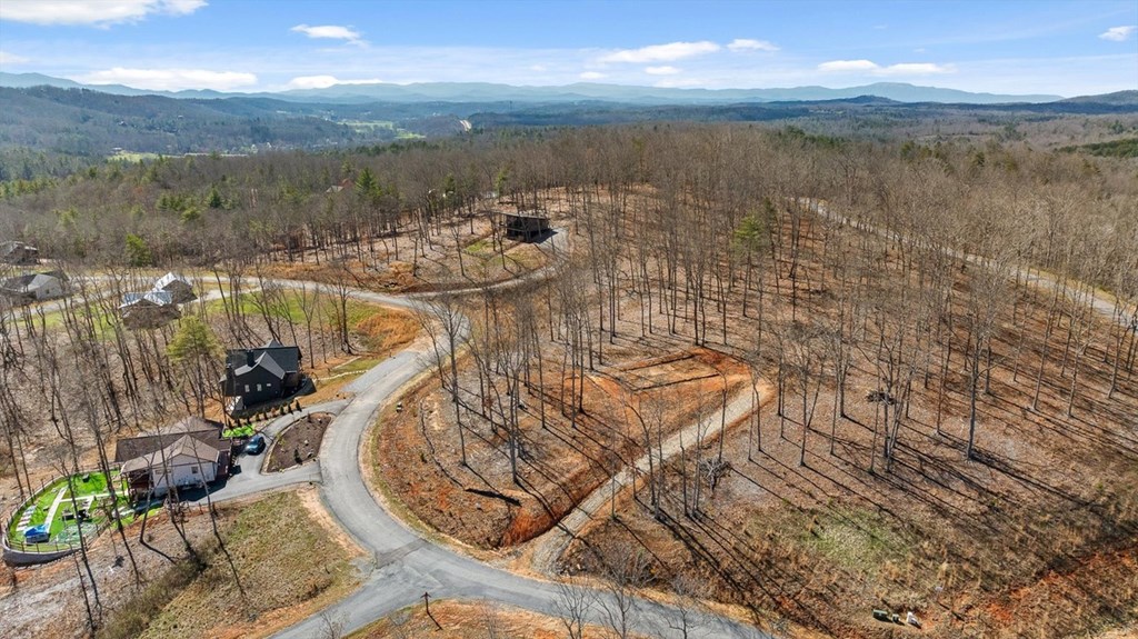 Lot 85 Split Creek Road Morganton, GA 30560 - Photo 15 of 32