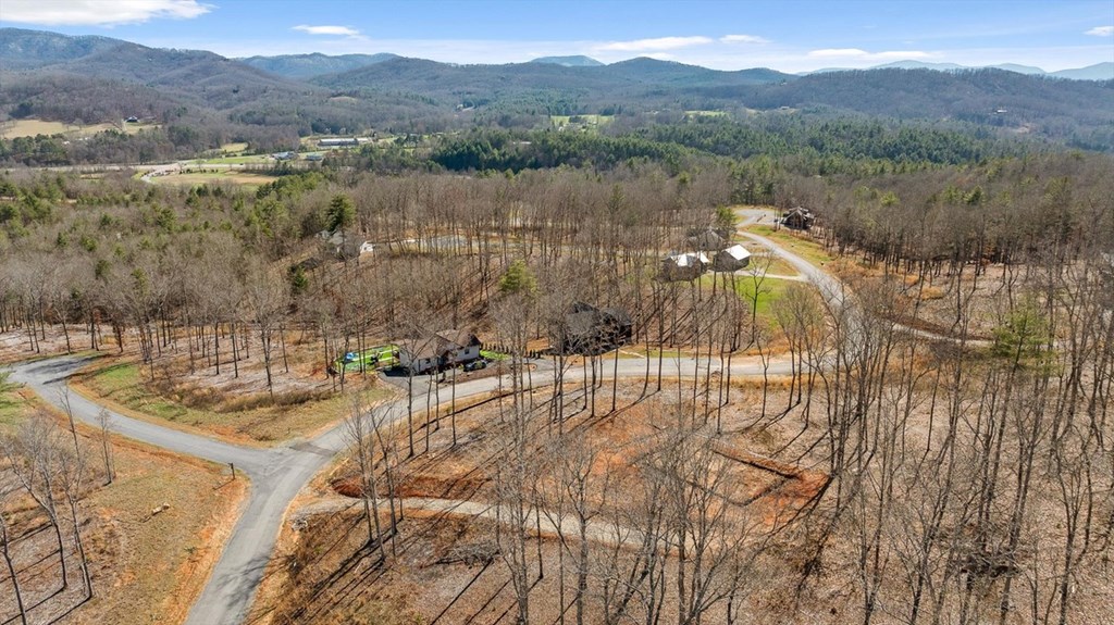 Lot 85 Split Creek Road Morganton, GA 30560 - Photo 17 of 32