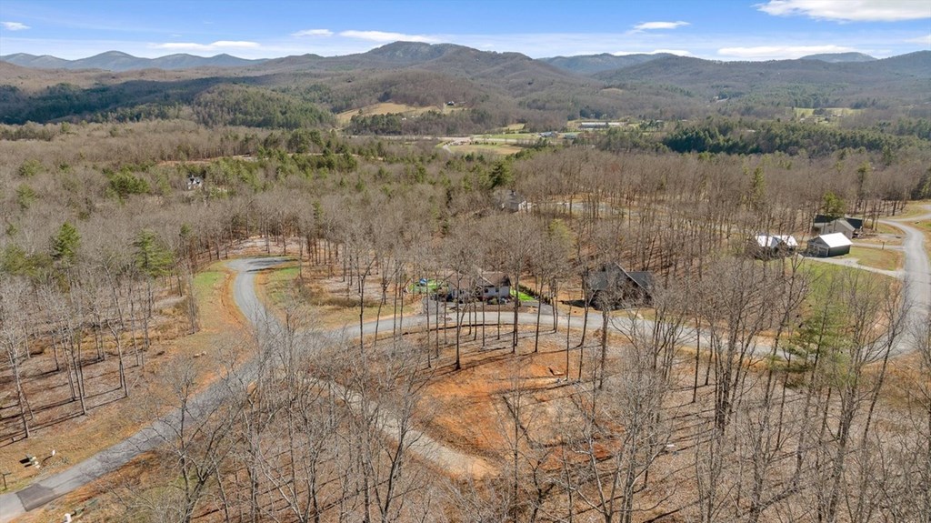 Lot 85 Split Creek Road Morganton, GA 30560 - Photo 18 of 32