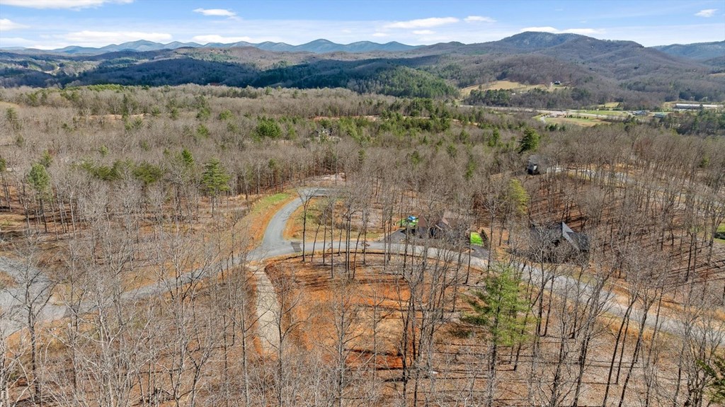 Lot 85 Split Creek Road Morganton, GA 30560 - Photo 19 of 32