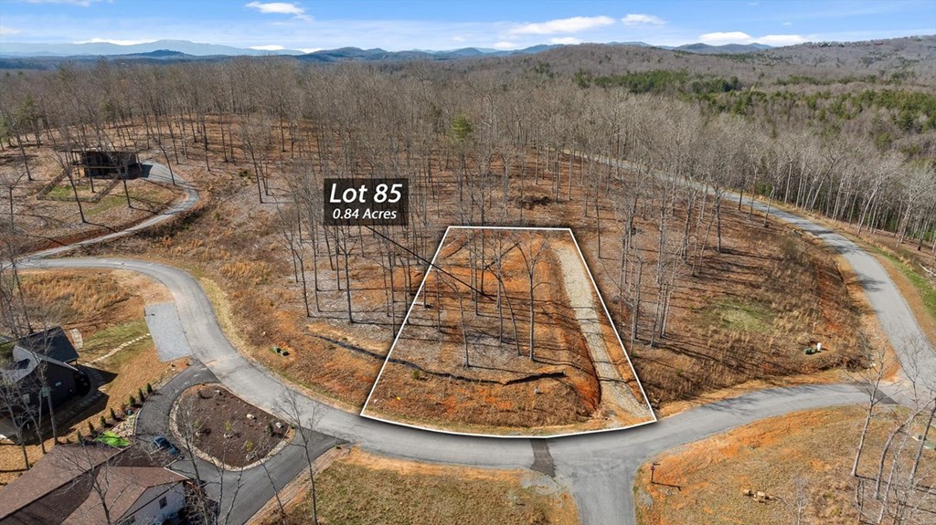 Lot 85 Split Creek Road Morganton, GA 30560 - Photo 2 of 32