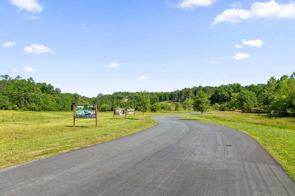 Lot 85 Split Creek Road Morganton, GA 30560 - Photo 25 of 32