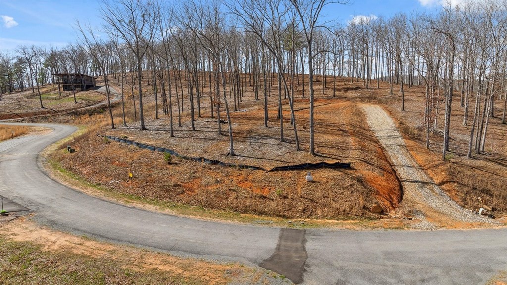 Lot 85 Split Creek Road Morganton, GA 30560 - Photo 3 of 32