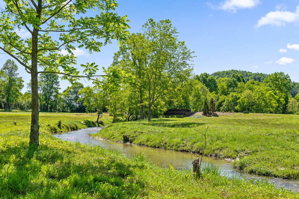 Lot 85 Split Creek Road Morganton, GA 30560 - Photo 31 of 32