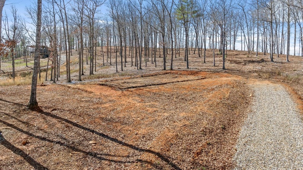 Lot 85 Split Creek Road Morganton, GA 30560 - Photo 4 of 32