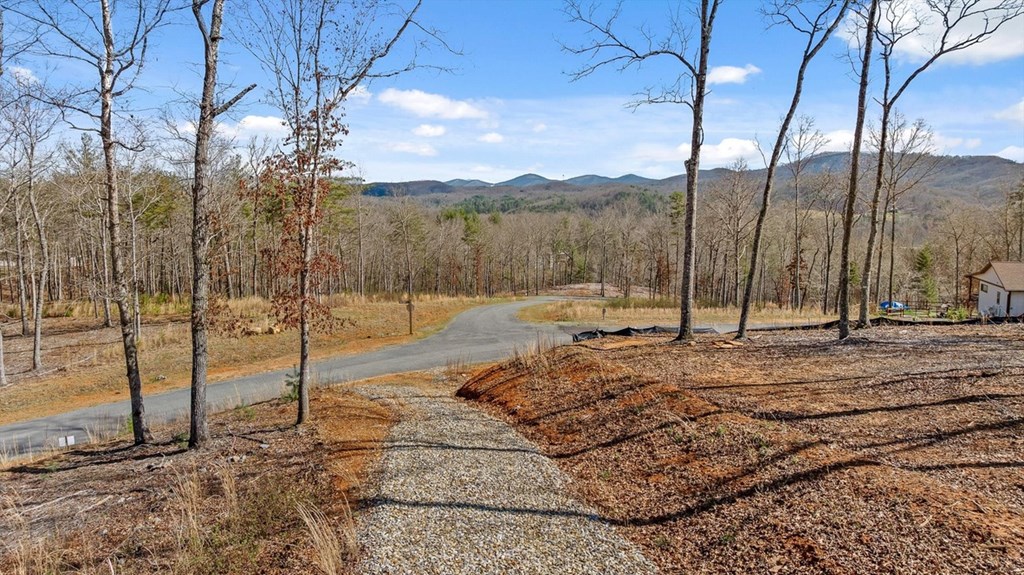 Lot 85 Split Creek Road Morganton, GA 30560 - Photo 5 of 32