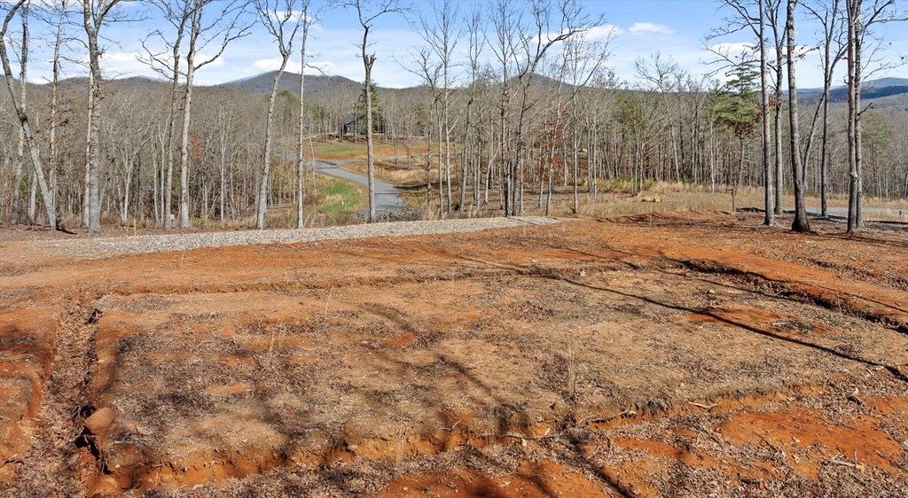 Lot 85 Split Creek Road Morganton, GA 30560 - Photo 6 of 32