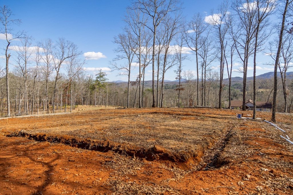 Lot 85 Split Creek Road Morganton, GA 30560 - Photo 7 of 32