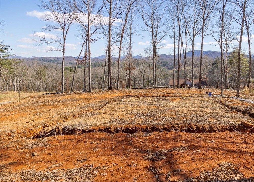 Lot 85 Split Creek Road Morganton, GA 30560 - Photo 8 of 32