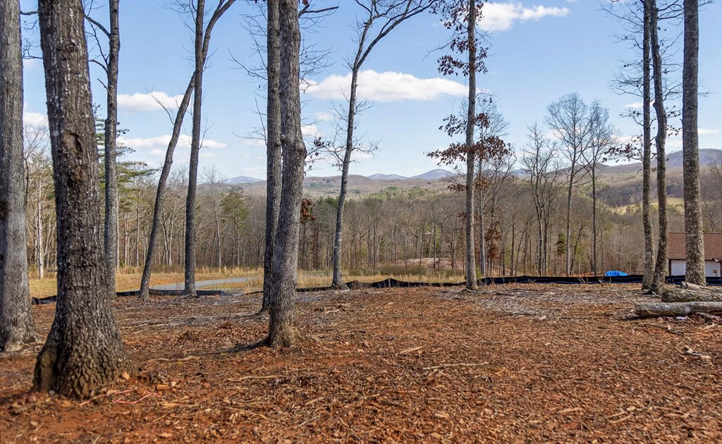 Lot 85 Split Creek Road Morganton, GA 30560 - Photo 9 of 32