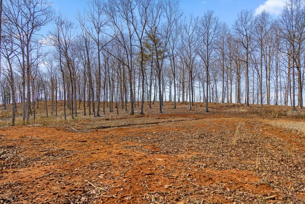 Lot 85 Split Creek Road Morganton, GA 30560 - Photo 10 of 32