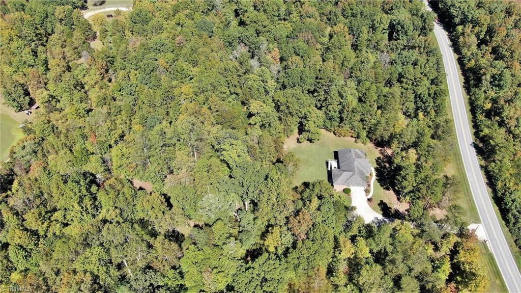 5351 Tom Hill Road Trinity, NC 27370 - Photo 48 of 50 Beautiful Property with Tall Trees and small creeks on it...Very Private.
