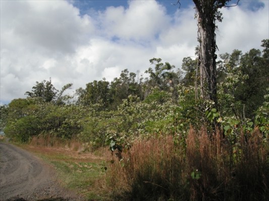 19 B Middle Road Keaau, HI 96749 - Photo 5 of 25 Gallery Image 5