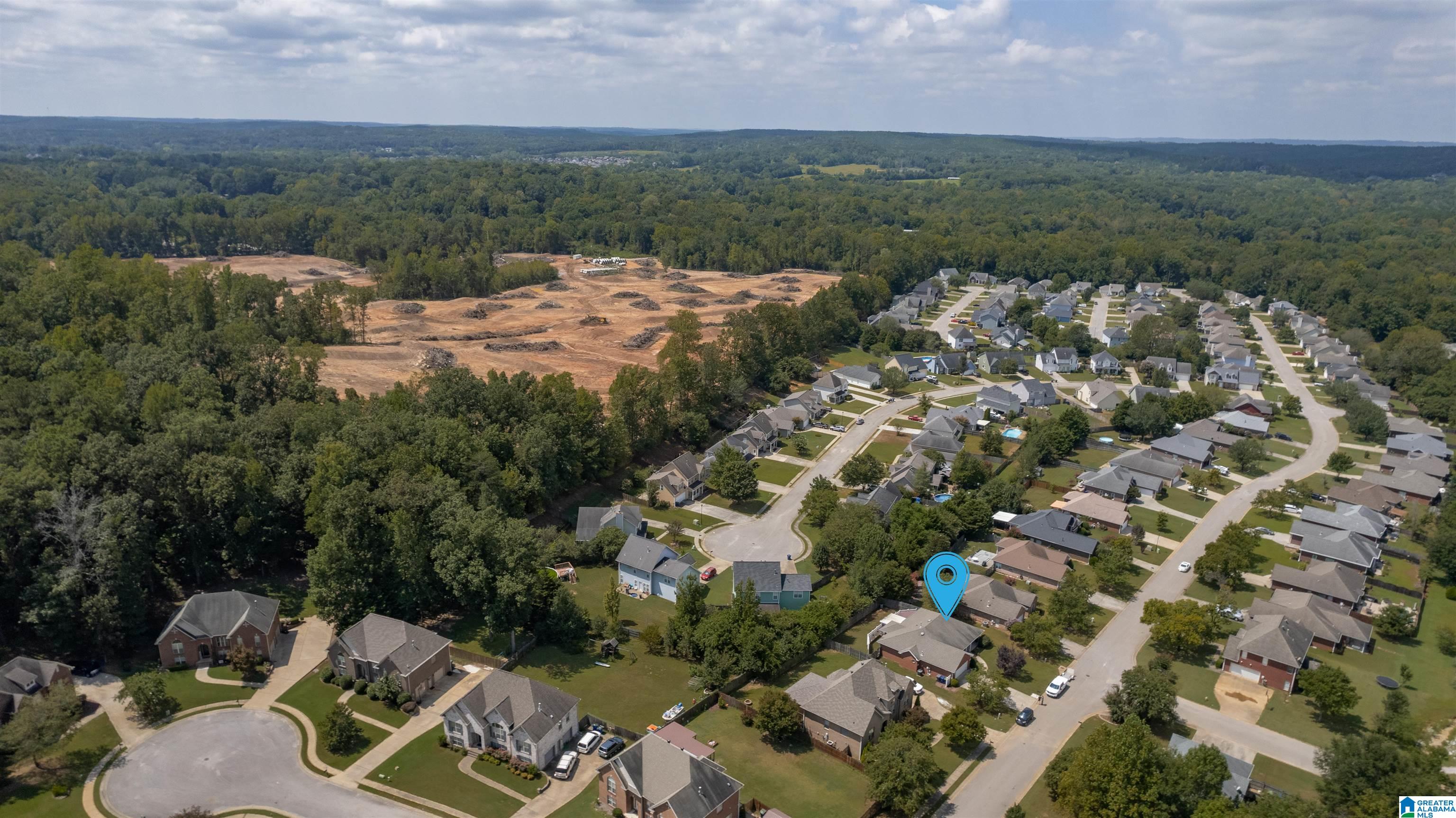 202 Cedar Grove Parkway Alabaster, AL 35114 - Photo 7 of 44