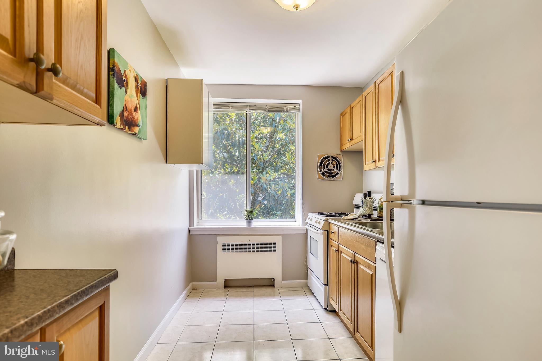4100 W Street Northwest, Unit 515 Washington, DC 20007 - Photo 12 of 33 Updated kitchen