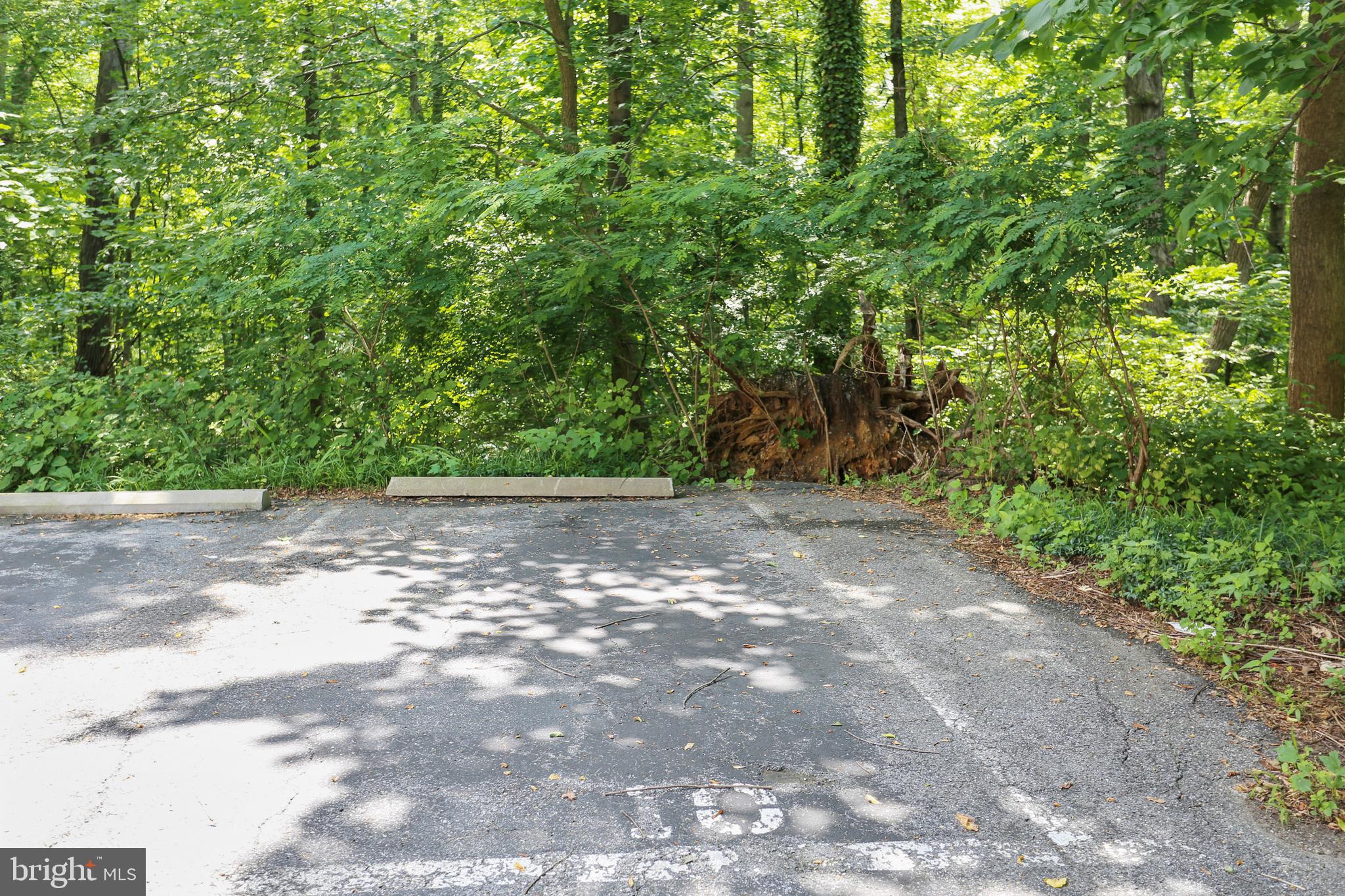 4100 W Street Northwest, Unit 515 Washington, DC 20007 - Photo 23 of 33 Your very own off-street parking space!