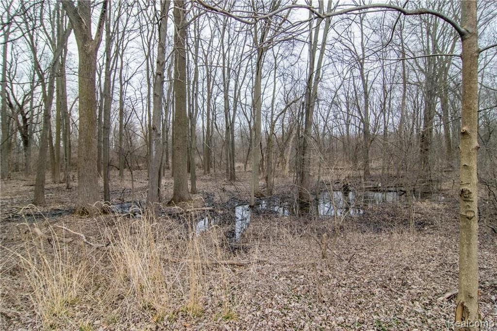 8631 Talladay Road Whittaker, MI 48190 - Photo 24 of 33