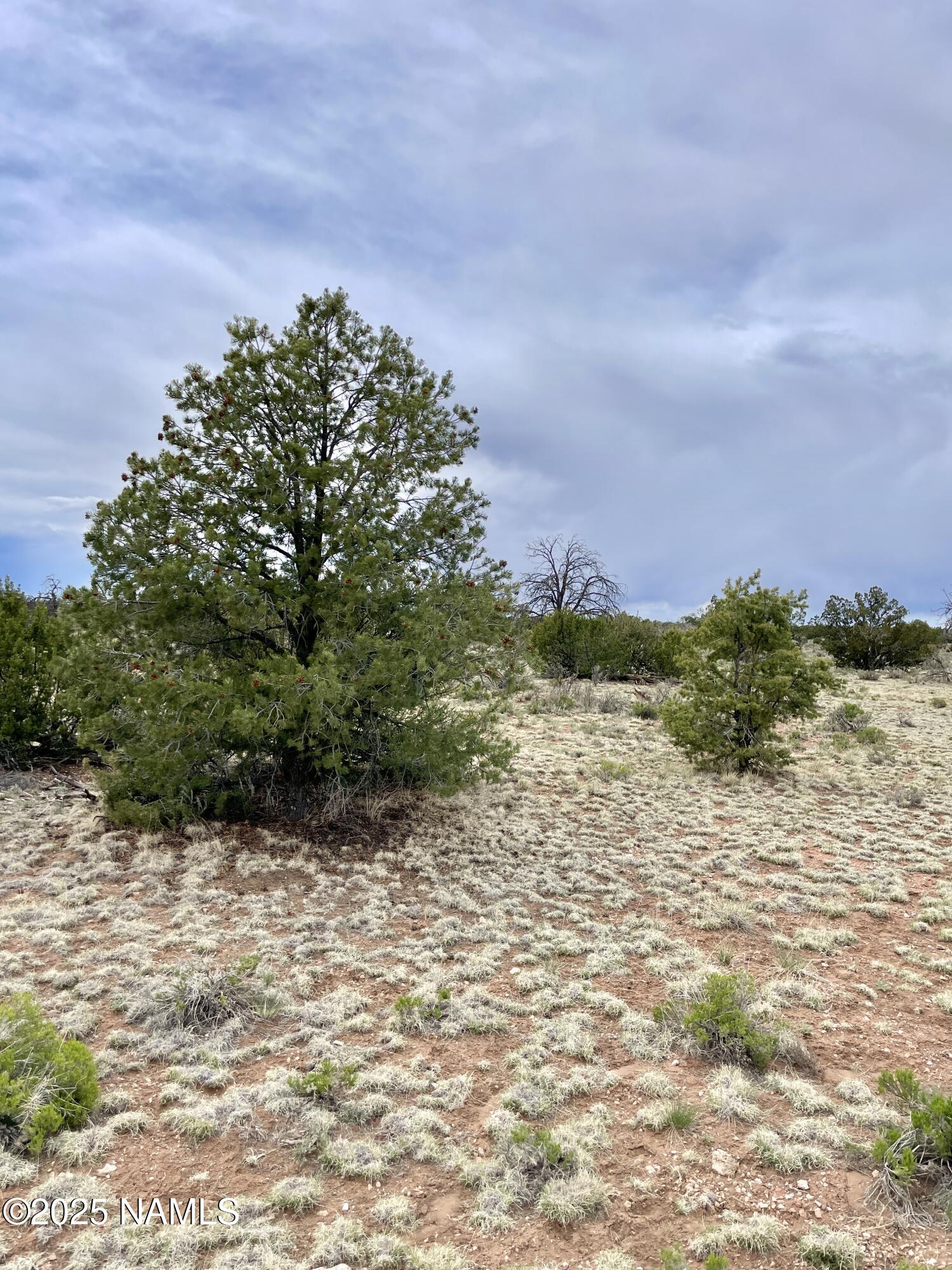 3998 Red Butte Road Williams, AZ 86046 - Photo 18 of 20 a view of a lake view
