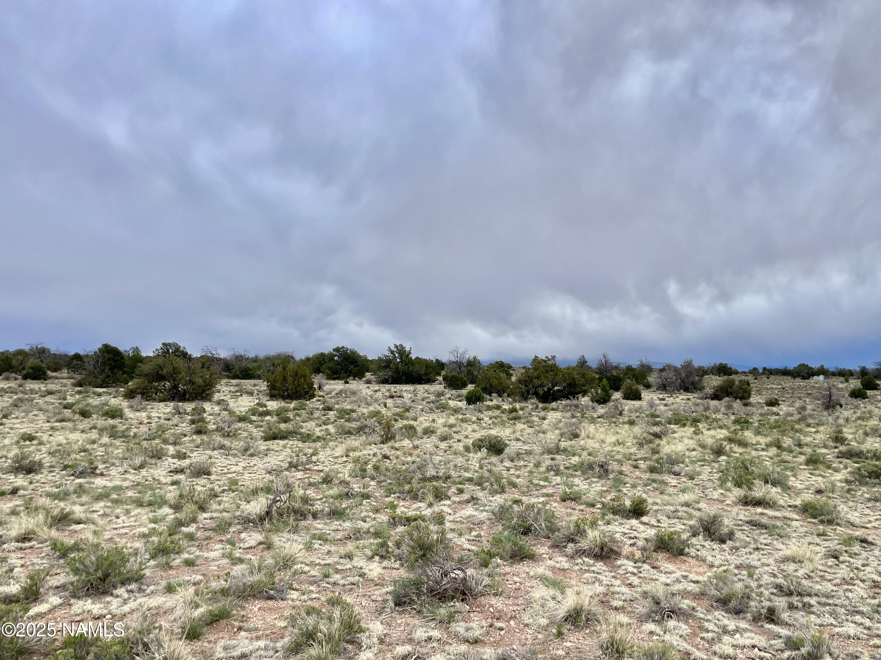 3998 Red Butte Road Williams, AZ 86046 - Photo 6 of 20 a view of a yard of mountains and valleys