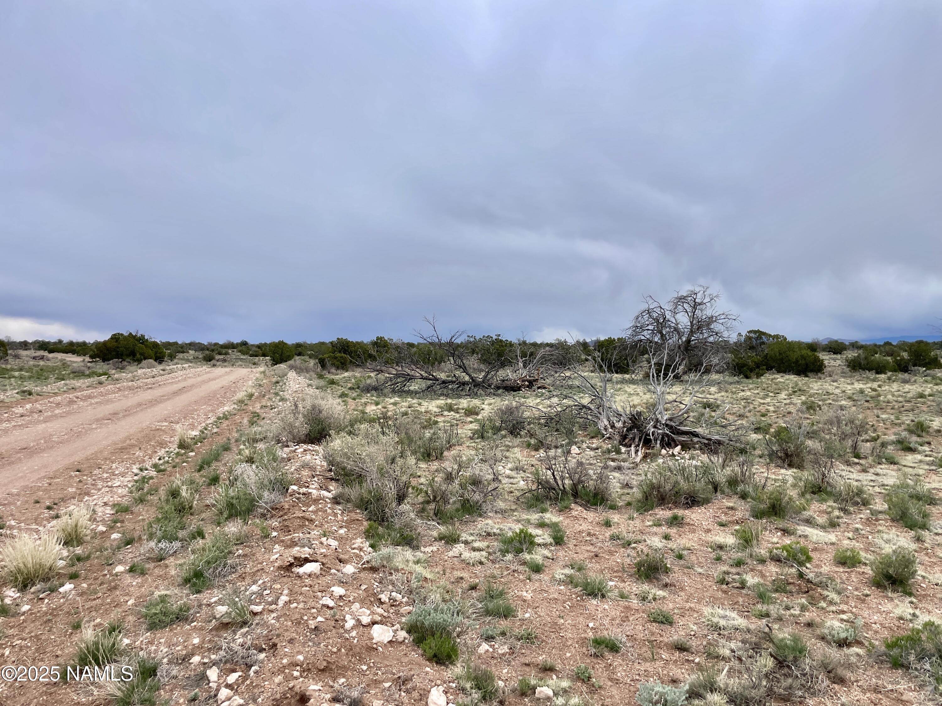 3998 Red Butte Road Williams, AZ 86046 - Photo 8 of 20 a view of lake and mountain