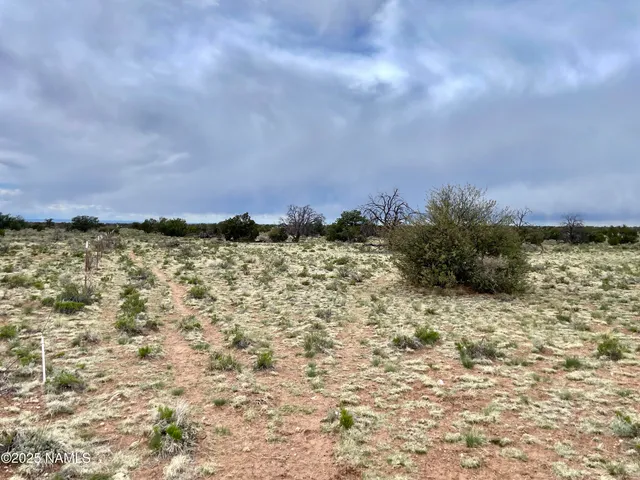 a view of a house with a dry yard