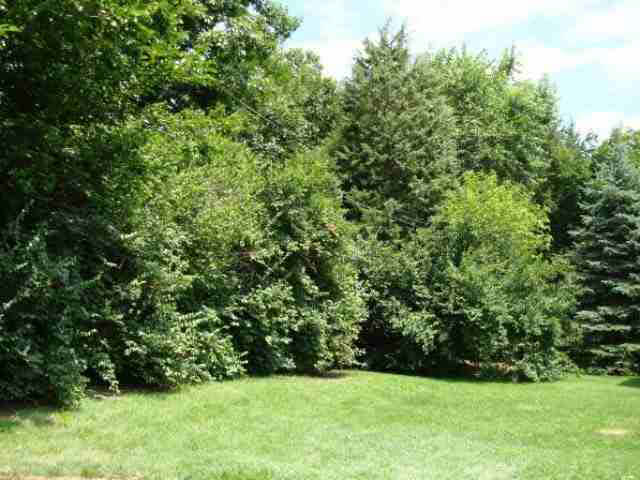 1820 Ravinia Road West Lafayette, IN 47906 - Photo 9 of 9