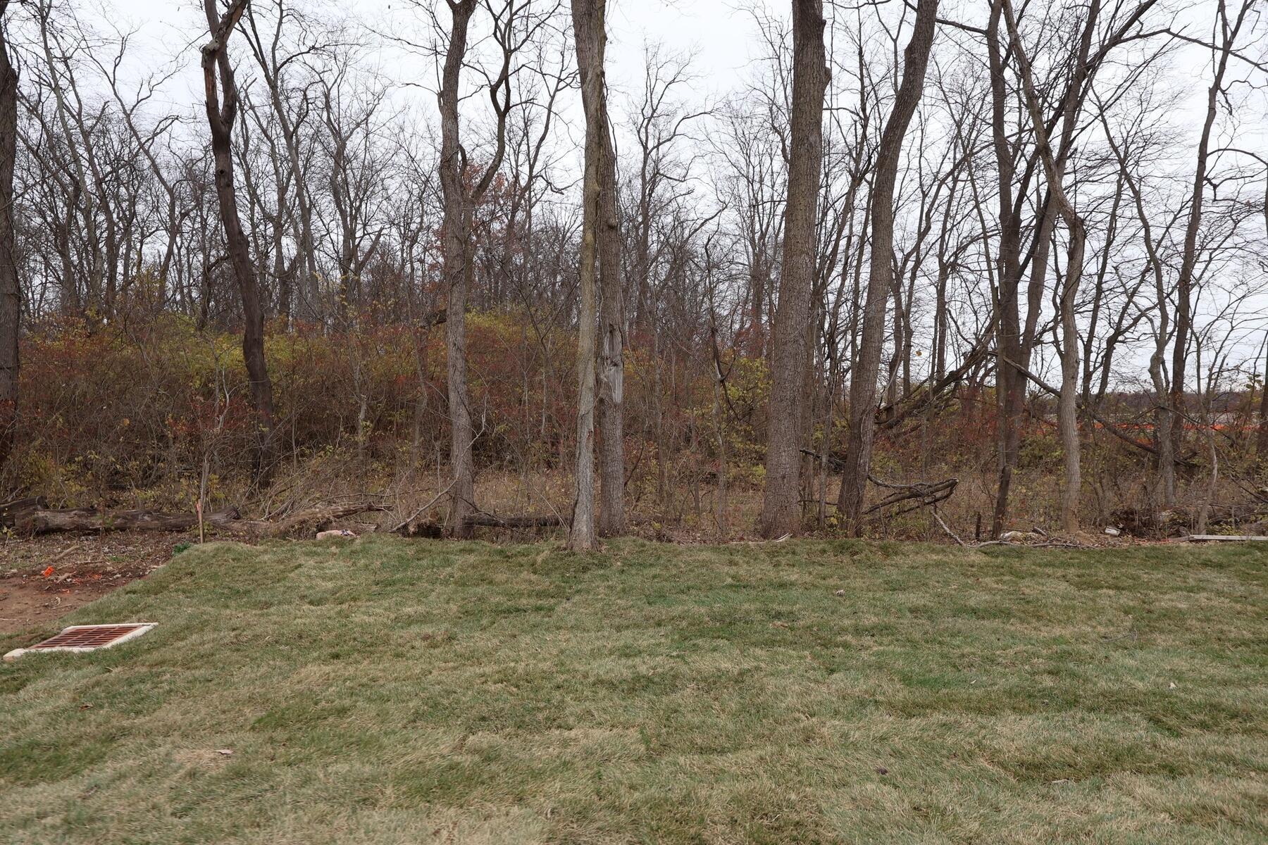 308 Cherry Hills Road Commercial Point, OH 43116 - Photo 14 of 19 Yard
