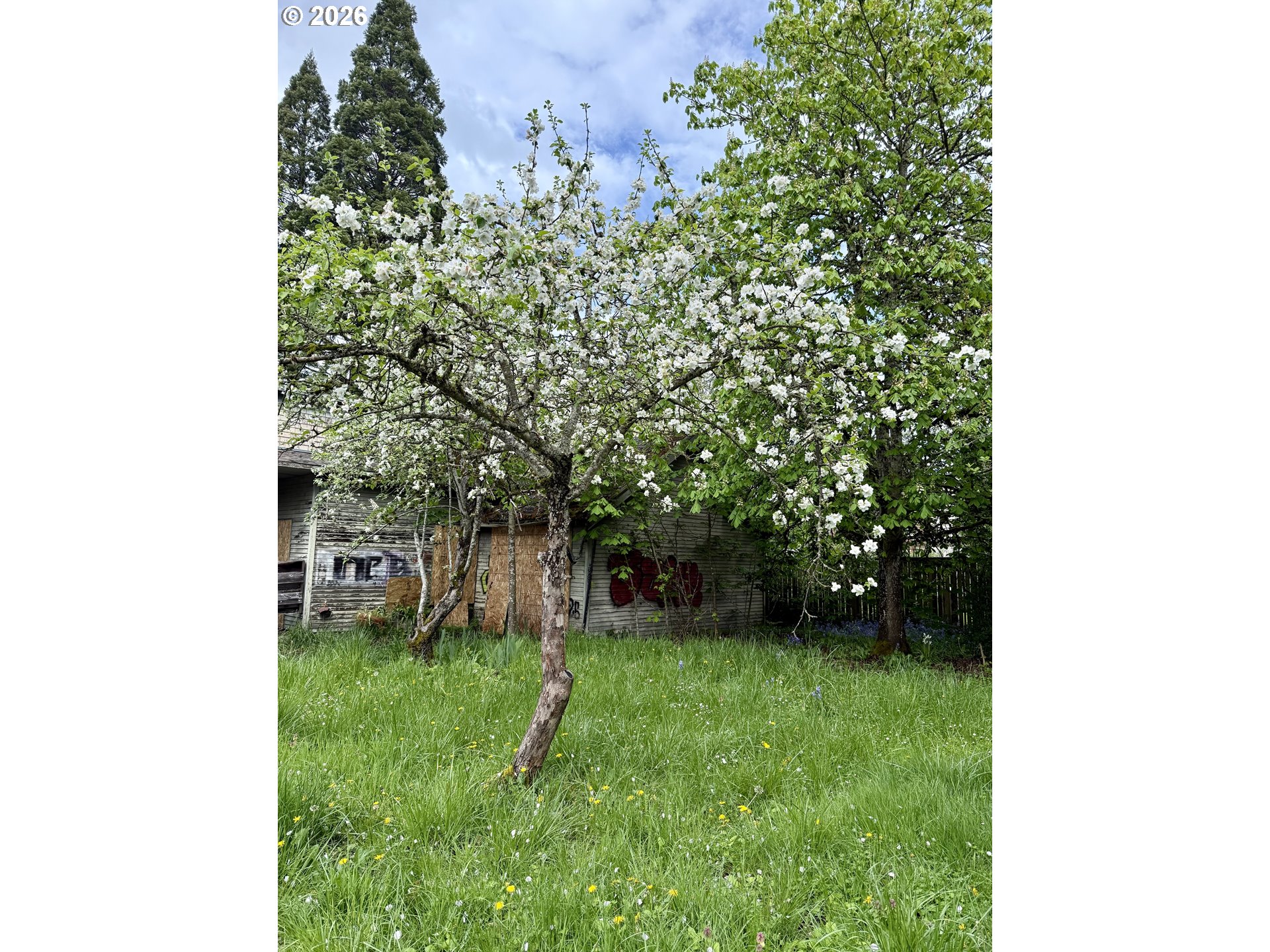 1410 East 20th Avenue Eugene, OR 97403 - Photo 12 of 18