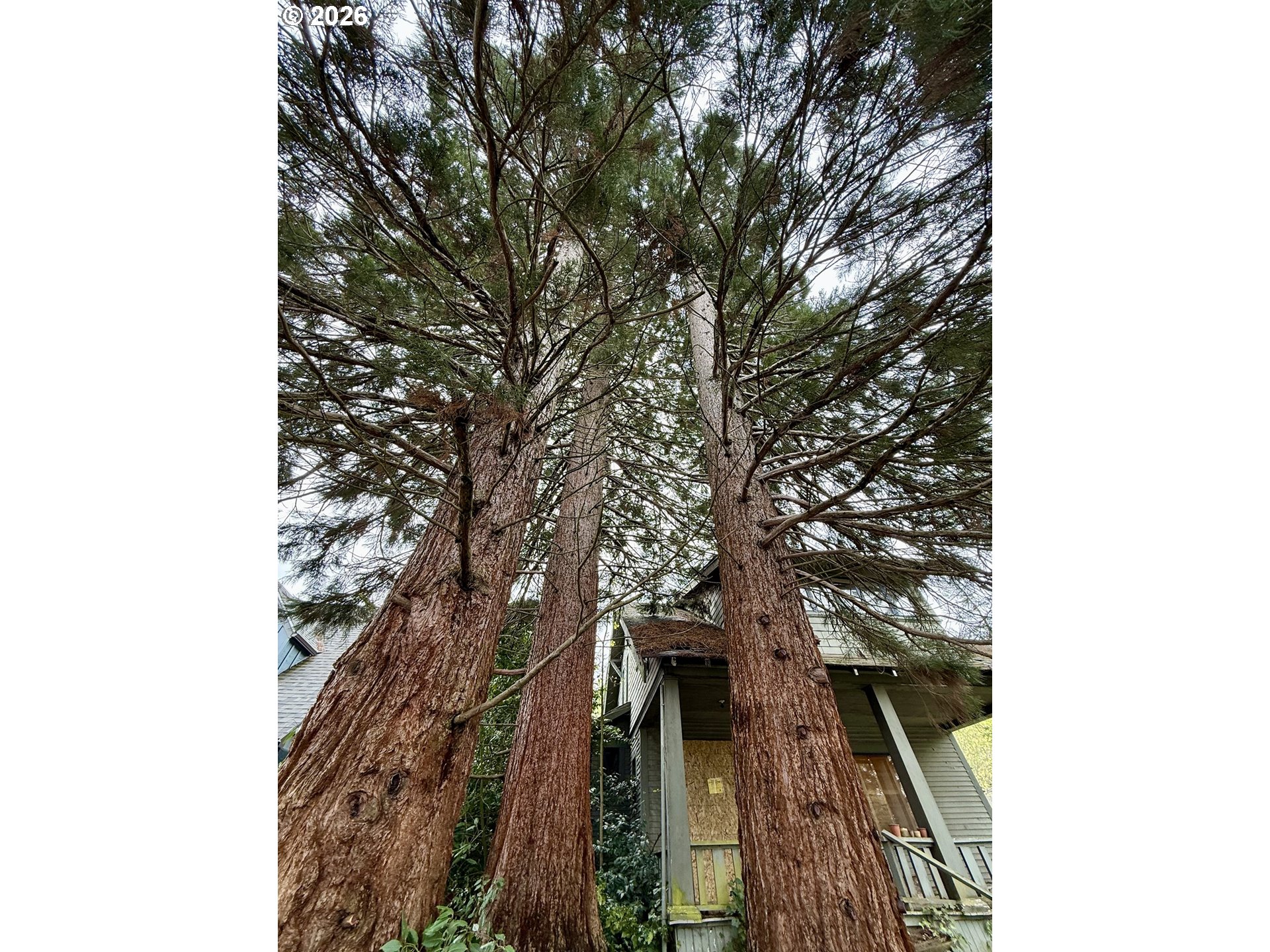 1410 East 20th Avenue Eugene, OR 97403 - Photo 14 of 18