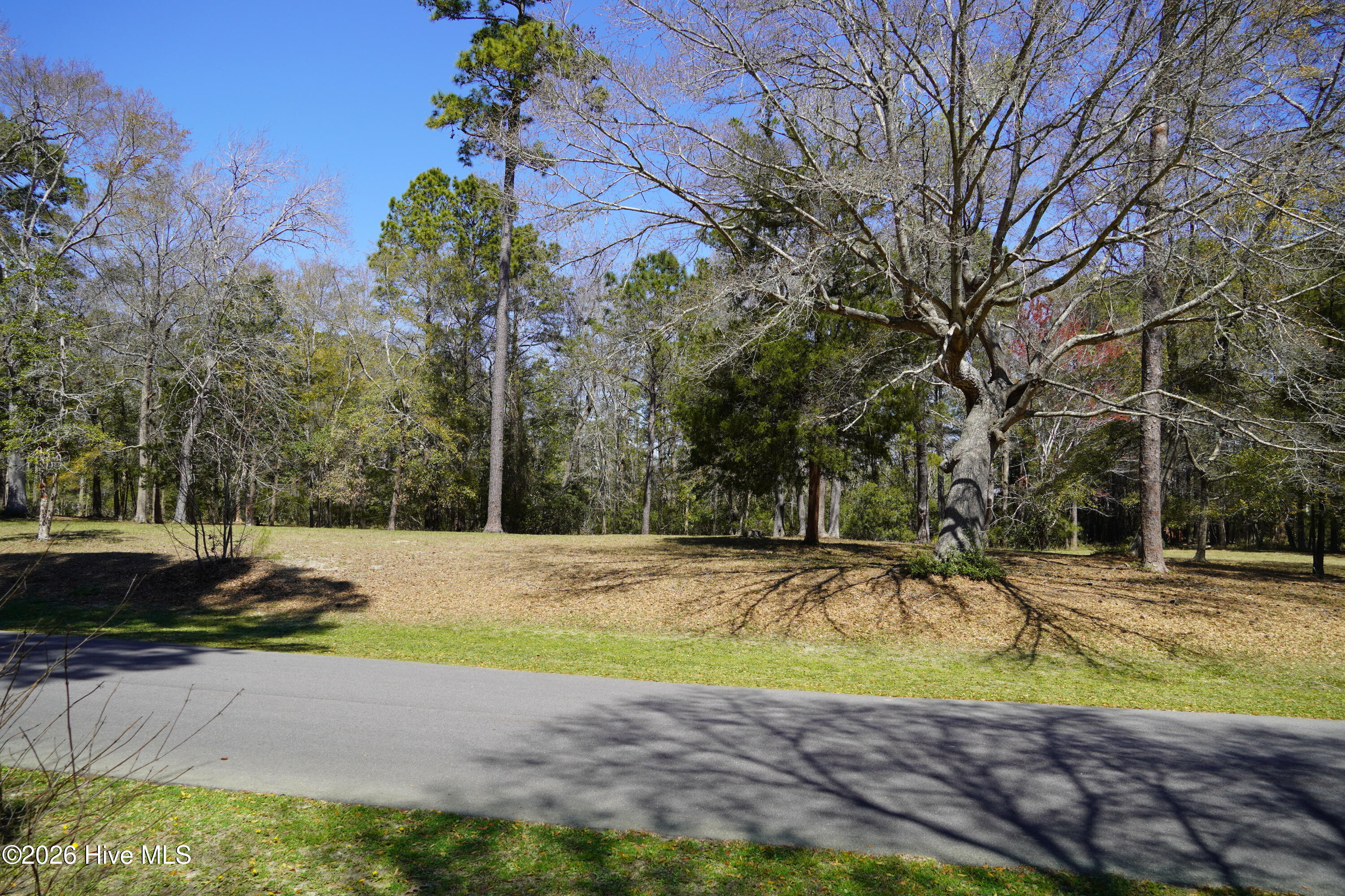 246 Genoe's Point Road Southwest Supply, NC 28462 - Photo 8 of 20 DSC00819